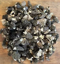 Morel Mushrooms Freshly Picked And Dried (Dried) - 8 Oz.