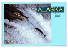 Postcard AK Alaska Spawning Salmon AJ2