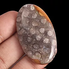 76.50 ct Amazing Golden Gray White Exotic Flower Agate Agatized Coral Fossil Cab