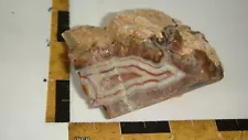 FR-31 Turkish Agate Turkey 7 oz Nicely colored FREE ship US