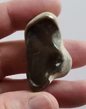 Beautiful Tumbled Polished Flint Specimen Brown County Texas - 16g