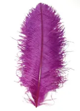 purple ostrich feathers for sale