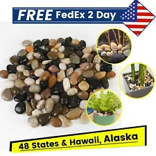 River Rocks, Decorative Garden Stones ***FREE 2 DAY Shipping Nationwide***