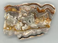 Crazy Lace Agate Slab - Mexico - 3 1/2” x 2 1/2” - 64grams