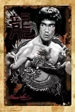 reproductions for sale Bruce Lee Kongfu Star metal tin sign