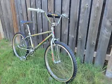 1995 GT Pro Series 24 Inch Cruiser bmx