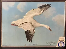 Vintage Snow Goose Bird Arm & Hammer Retail Display Piece for Store Promotions