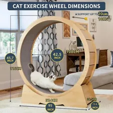 Cat Exercise Wheel,Large 42in Silent Cat Treadmill Running Wheel for 10-20lb Cat