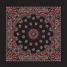 Hav-A-Hank USA Made Cotton Paisley Bandanna 22"X22" Black / White / Red