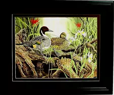 NORTHERN PINTAIL DUCKS PICTURE DUCK HUNTING WATERFOWL MATTED FRAMED 16X20