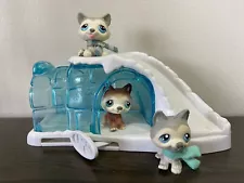 Littlest Pet Shop Husky