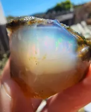 Large Virgin Valley Opal Nevada Opal Wood Replacement Limb Cast