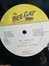 Richie Roots Hi Hello & Cruisin Ultra RARE OOP Only 1 on Ebay 12" 45 rpm Reggae