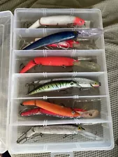 Lot Of 9 Rebel Fishing Lures