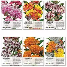 Open Pollinated Assortment Milkweed Seed Packet (6 CT)