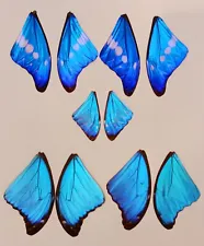 10 PIECES HASSORTED BLUE MORPHO BUTTERFLY WINGS JEWELRY ARTWORK