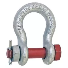 Crosby 1019551 Shackle,1 In.,17,000 Lb.