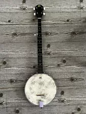 Rogue 5 String Banjo With Remo Weatherking Banjohead