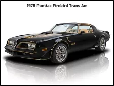 1978 Pontiac Firebird Trans Am New Metal Sign: Beautiful Restoration!