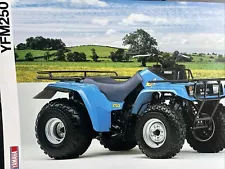 The Yamaha YFM250 ATV Quad Bike Car Sales Info Brochure Frameable