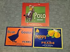 3 Early 20th C. fruit crate labels Polo Brand, Blue Goose & Poppy Brand Pears