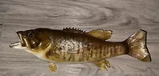 21” Smallmouth Bass Freshwater Taxidermy Fish Mount For Sale