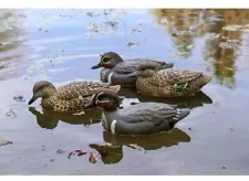 Flambeau Outdoors Storm Front 2. Classic Green Winged Teal Duck Decoys. 6-Pack!