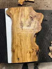 #833 OLIVE wood burl slabs 16x24 for resin tray/table etc 200 yr old Rawcut