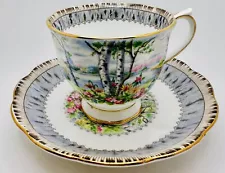 Vintage Royal Albert England Silver Birch Cup & Saucer; Tree Floral Scene Teacup