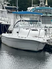 Cobia Boat 22 Cuddy Cabin Walkaround with Yamaha 200HP Sport Fishing Boat Sale