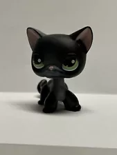 Littlest Pet Shop Black Shorthair Siamese Cat #336 | Authentic