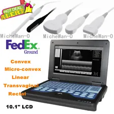 Human/VET Ultrasound Scanner Portable Laptop Machine Digital Probe, Factory Sale