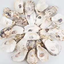 QEQEKAKA 30PCS Oyster Shells 4"-5" Large Oyster Shells for Crafts Natural Oys...