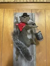 Squirrel Taxidermy Cowboy Squirrel