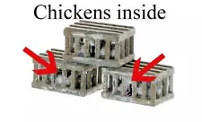 Poultry CHICKENS....CHICKENS in their wooden Poultry crates 3 Pack O unpainted