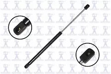 Back Glass Lift Support For 1978-1983 Chevrolet Malibu Wagon 194CF18 (For: 1983 Malibu)