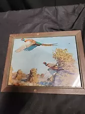 Soaring Pheasants