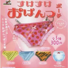 ꕤ See-through panties pouchꕤ Complete ꕤ