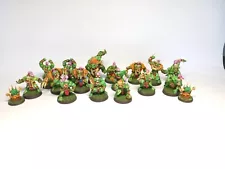 Blood bowl Savage Orcs 16 player team. Painted to high standard.