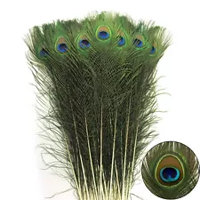 THARAHT 24pcs Peacock Feathers Long Natural in Bulk 32-35 inch 80-90 cm for V...