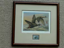 1996 RW63 Framed Federal Duck Stamp Print Signed Wilhelm Gobble Surf Scoters