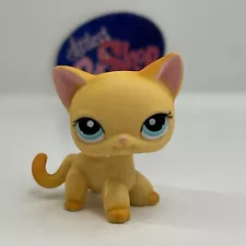 SHORTHAIR CAT #339 - Authentic Littlest Pet Shop - Hasbro LPS