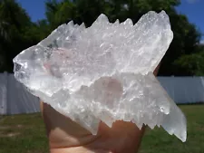 Amazing Large FISHTAIL SELENITE Natural Crystal Point from Naica Mexico For Sale