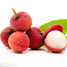 50 Sweet Lychee SEEDS Litchi Tropical Fruit Tree Plant RARE Juice Organic