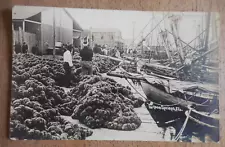 Tarpon Springs Florida Dock w Sponges & Boats Real Photo Postcard RPPC