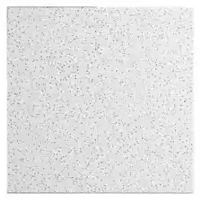 Radar Basic White Lay-In Ceiling Tile, 2 ft. x 2 ft., Case of 16