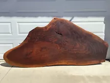 Black Walnut Raw Edge Burl Decor