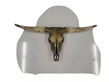 Longhorn Skull Real Metelized