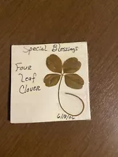 Three, Real Four Leaf Clover with Prayer blessings on back