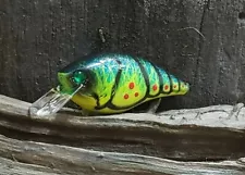 Custom painted 2.5 square bill crankbait (CRAW)